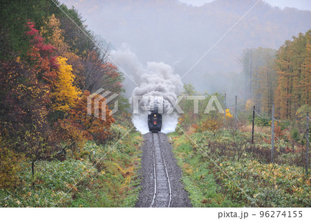 函館本線 然別-銀山 JR北海道 C11-171+14系+スハシ44+DE15-1520 SLニセコ 函館本線 然別-銀山 JR北海道 C11-171+14系+スハシ44+DE15-1520 SLニセコ 96274155