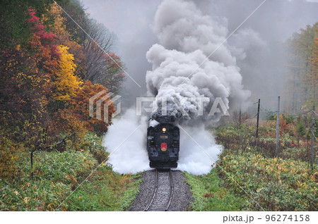 函館本線 然別-銀山 JR北海道 C11-171+14系+スハシ44+DE15-1520 SLニセコ 函館本線 然別-銀山 JR北海道 C11-171+14系+スハシ44+DE15-1520 SLニセコ 96274158