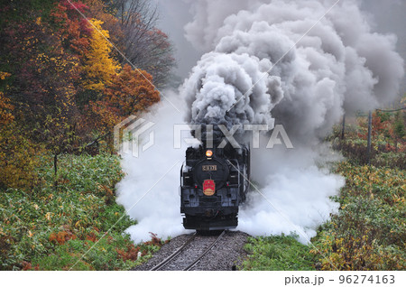 函館本線　然別－銀山　JR北海道　C11-171＋14系＋スハシ44＋DE15-1520　SLニセコ 96274163
