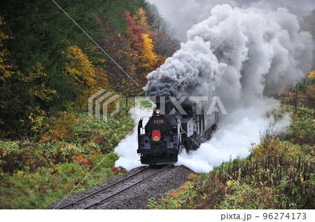 函館本線 然別-銀山 JR北海道 C11-171+14系+スハシ44+DE15-1520 SLニセコ 函館本線 然別-銀山 JR北海道 C11-171+14系+スハシ44+DE15-1520 SLニセコ 96274173