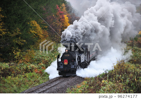 函館本線 然別-銀山 JR北海道 C11-171+14系+スハシ44+DE15-1520 SLニセコ 函館本線 然別-銀山 JR北海道 C11-171+14系+スハシ44+DE15-1520 SLニセコ 96274177