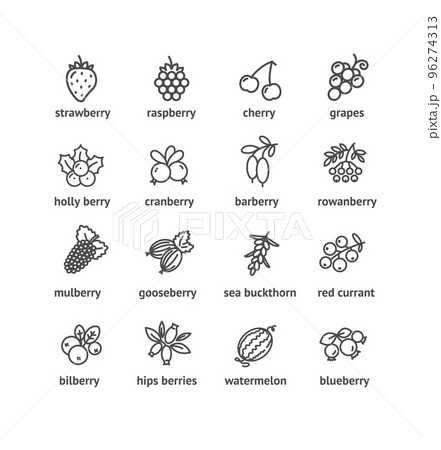 Berries Signs Thin Line Icons Set. Vector 96274313
