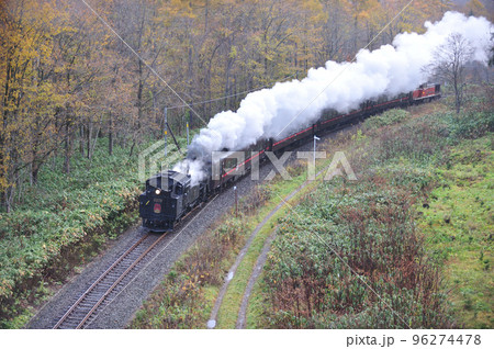 函館本線　比羅夫－倶知安　JR北海道　C11-171＋14系＋スハシ44＋DE15-1520　ニセコ 96274478