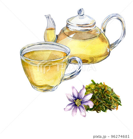 Composition of glass teapot and cup, passion flower watercolor illustration isolated on white. Composition of glass teapot and cup, passion flower watercolor illustration isolated on white. 96274681