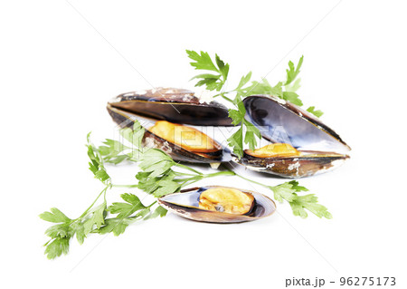 Steamed mussels with parsley on a white background. Healthy food Steamed mussels with parsley on a white background. Healthy food 96275173