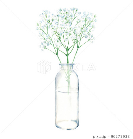 Gypsophila branches, baby breath in vase, bottle, jar. Watercolor hand drawn botanical illustration isolated on white background. Eco minimalistic style for greeting card, poster. Gypsophila branches, baby breath in vase, bottle, jar. Watercolor hand drawn botanical illustration isolated on white background. Eco minimalistic style for greeting card, poster. 96275938