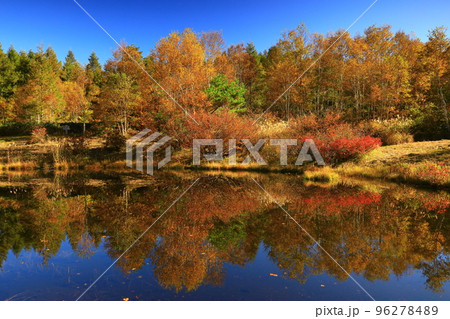 岩手県八幡平市 紅葉の安比高原 岩手県八幡平市 紅葉の安比高原 96278489