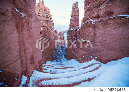 Winter Bryce Winter Bryce 96278643