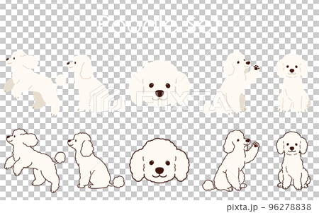 シンプルで可愛い白いプードルのイラストセット 96278838