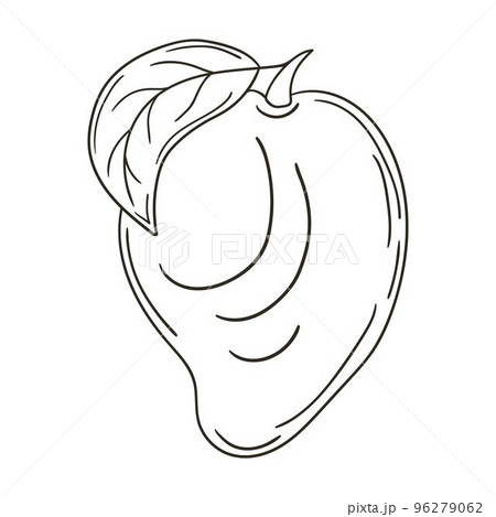 Coloring Illustration in hand drawn style. Children's drawings 96279062