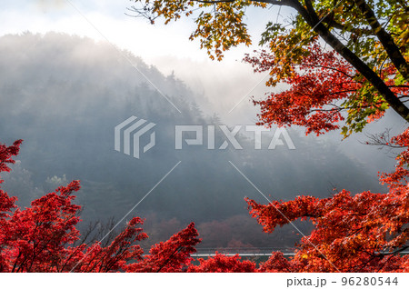 福島県矢祭町　矢祭山公園の紅葉 96280544