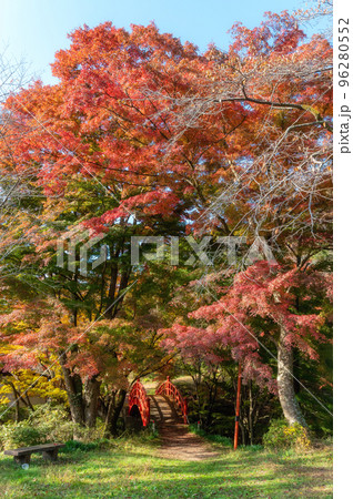 福島県矢祭町　矢祭山公園の紅葉 96280552