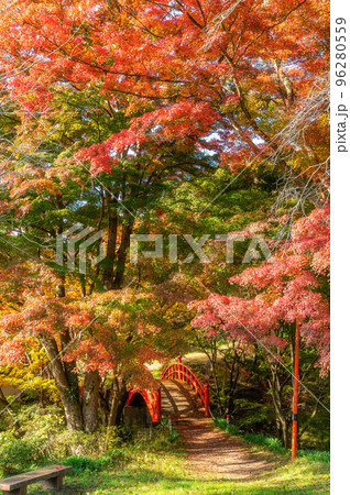 福島県矢祭町 矢祭山公園の紅葉 福島県矢祭町 矢祭山公園の紅葉 96280559
