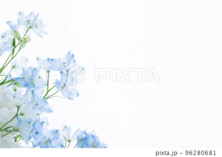 白と水色の花 喪中ハガキの写真素材 白と水色の花 喪中ハガキの写真素材 96280681