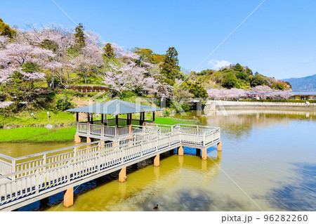 清水船越堤公園（春） 96282260