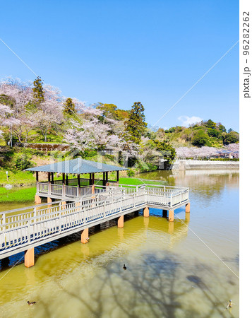 清水船越堤公園（春） 96282262