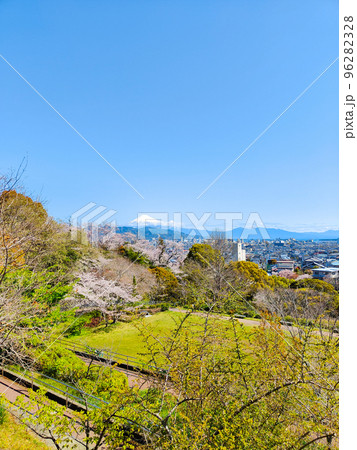清水船越堤公園（春） 96282328