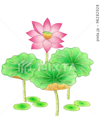 冬 新年 お正月 96282928