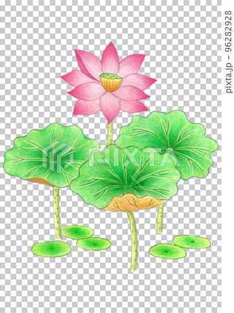 冬 新年 お正月 96282928