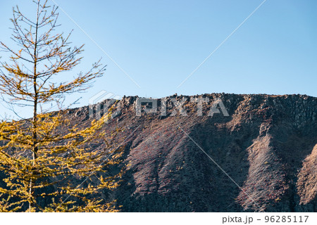 志賀草津高原ルート 湯釜南東 白根明神付近の山襞と立木の黄葉 10月下旬 クールカラー 志賀草津高原ルート 湯釜南東 白根明神付近の山襞と立木の黄葉 10月下旬 クールカラー 96285117