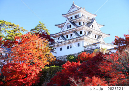 郡上八幡城の紅葉 郡上八幡城の紅葉 96285214