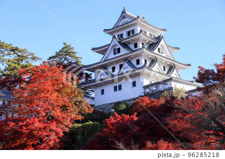 郡上八幡城の紅葉 96285218