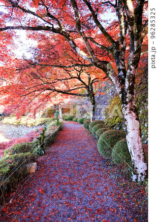 郡上八幡城への道 96285325