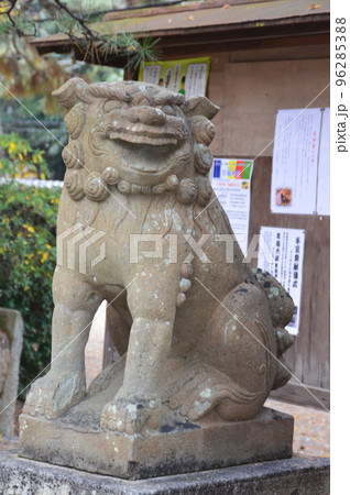 狛犬(阿形像)（岸城神社／大阪府岸和田市岸城町11-30） 96285388
