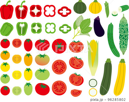 野菜1P 96285802