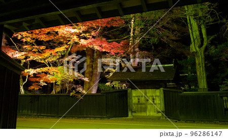 夜の角館武家屋敷のライトアップ　石黒家の美しい紅葉 96286147
