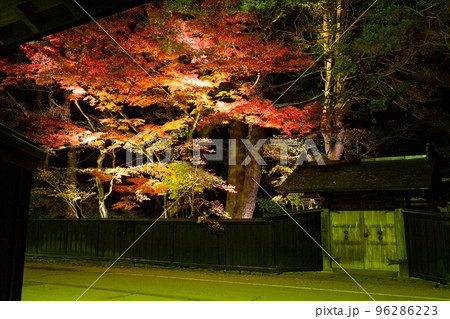夜の角館武家屋敷のライトアップ 石黒家の美しい紅葉 夜の角館武家屋敷のライトアップ 石黒家の美しい紅葉 96286223