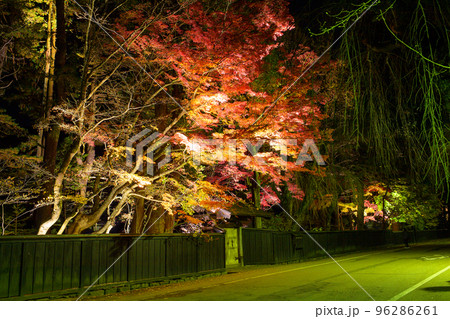 美しい角館武家屋敷通りのライトアップ　石黒家 96286261