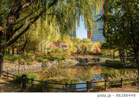 Autumn of Yeouido park in Seoul, Korea Autumn of Yeouido park in Seoul, Korea 96286449