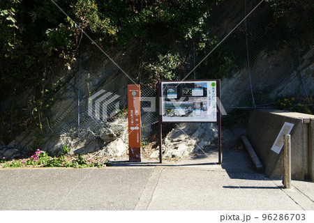 三浦・岩礁のみち（案内板） 96286703