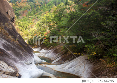 藤河内渓谷の紅葉 96286745
