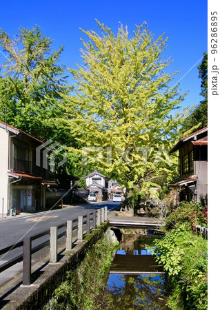 五百羅漢・石見銀山（島根県・太田市） 96286895