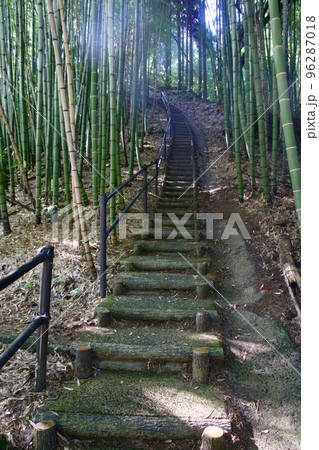 世界遺産センター・石見銀山(島根県・太田市) 世界遺産センター・石見銀山(島根県・太田市) 96287018