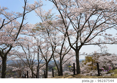 西山公園の桜を見に行きました #74 西山公園の桜を見に行きました #74 96287544