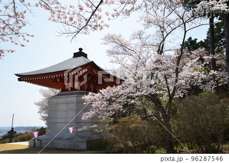 西山公園の桜を見に行きました　＃76 96287546