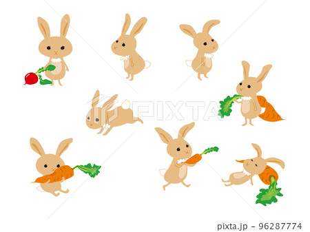 かわいい野ウサギのイラスト かわいい野ウサギのイラスト 96287774