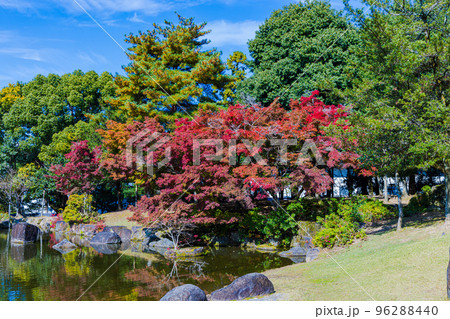 奈良公園の紅葉 紅一点池のそばにある紅葉 奈良公園の紅葉 紅一点池のそばにある紅葉 96288440