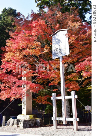 大津市　比叡山延暦寺山内の鮮やかな紅葉 96288633