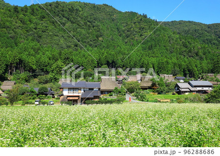 京都美山かやぶきの里 京都美山かやぶきの里 96288686