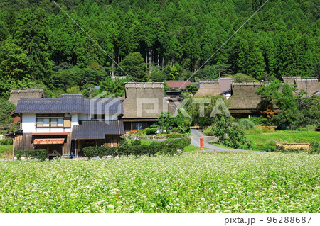 京都美山かやぶきの里 96288687