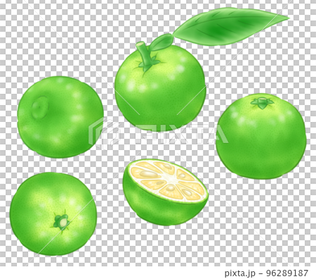 青ユズ 96289187