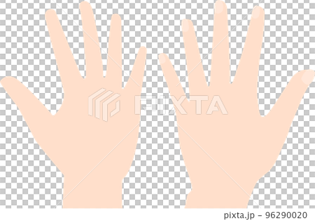 Illustration of the front and back of the left hand 96290020