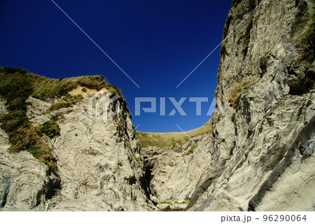 三浦市　盗人狩（ぬすっとがり） 96290064