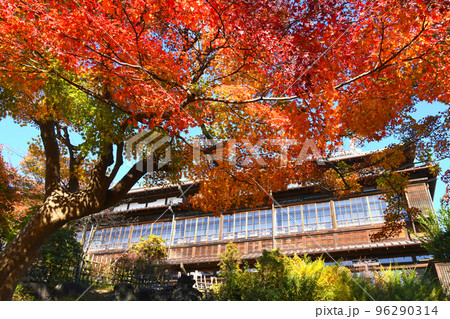 臨江閣の紅葉 前橋市 臨江閣の紅葉 前橋市 96290314