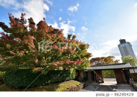 紅葉山庭園（秋）221115pm1:48 96290429