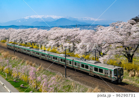 【春】東北本線 大河原〜船岡【桜】 96290731